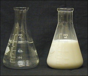 Beaker with KHCO3 Beaker with KHCO3