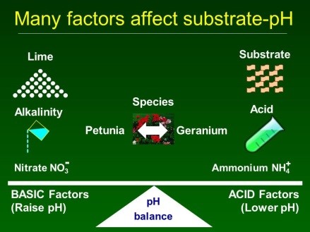 Many factors affect substrate-pH Many factors affect substrate-pH