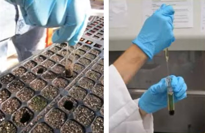 Water Quality - Calidad del agua